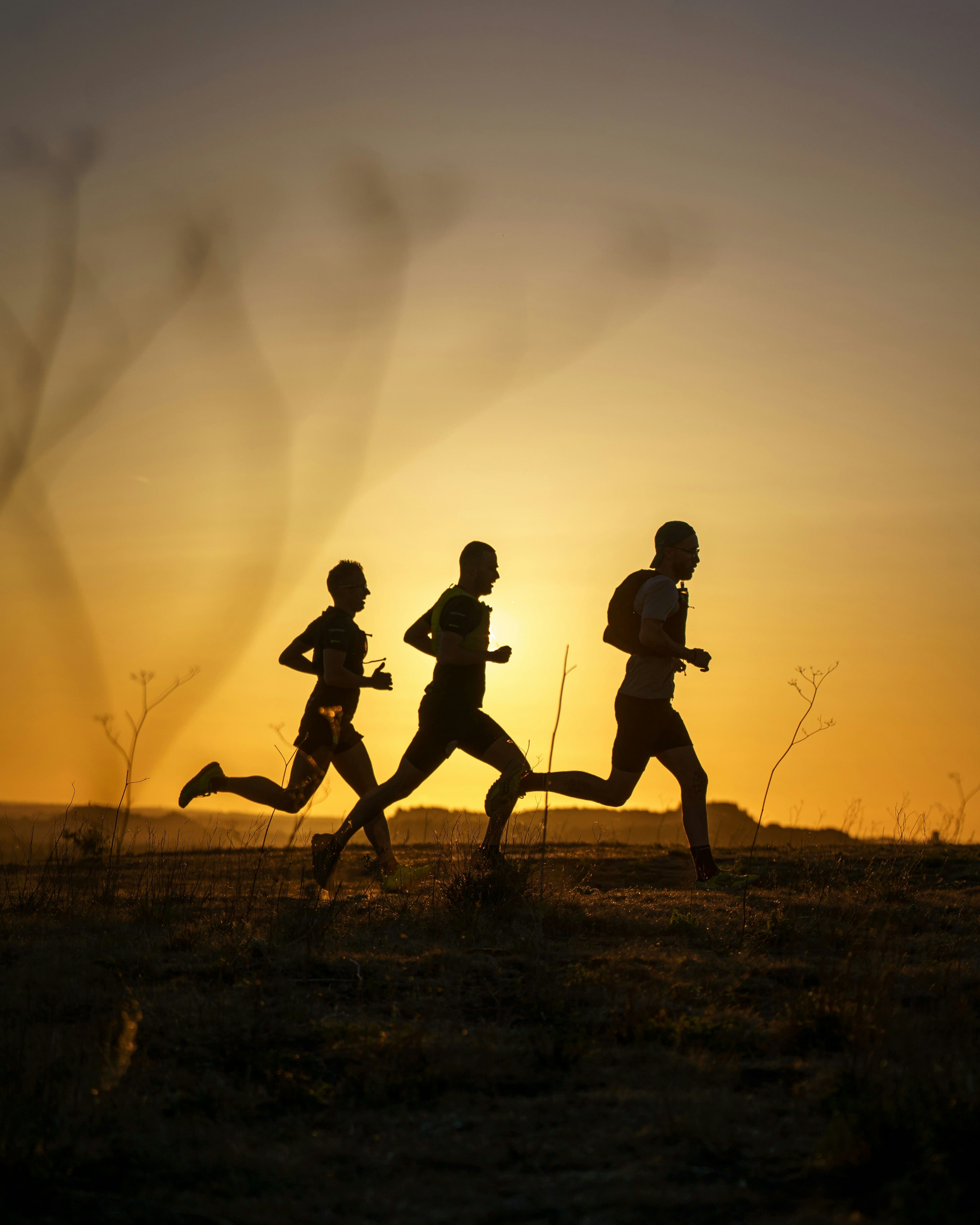 coureurs course a pied montagne
